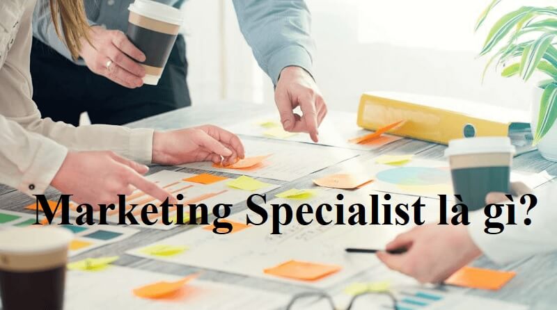 [Giới Thiệu] [Marketing Specialist là gì] Cơ hội việc làm trong ngành Marketing