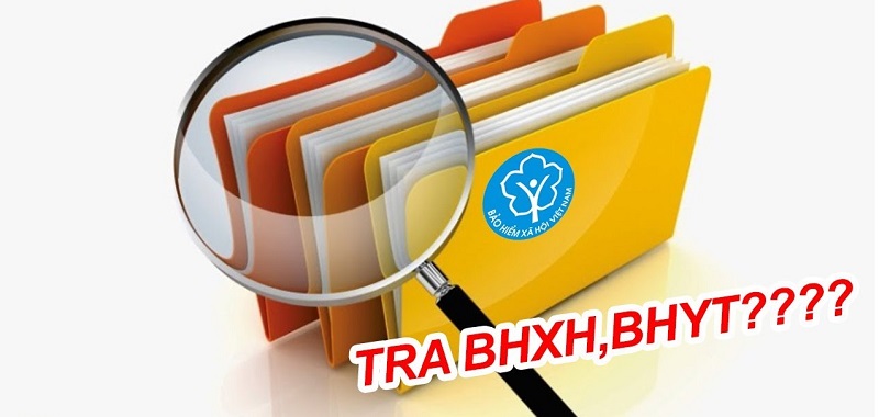 Hướng dẫn chi tiết về tra cứu kết quả đóng BHXH của công ty